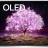 Телевизор LG OLED48C1RLA